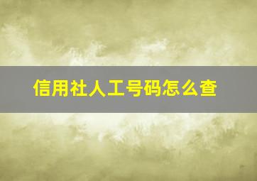 信用社人工号码怎么查