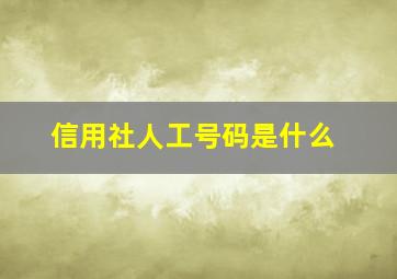 信用社人工号码是什么