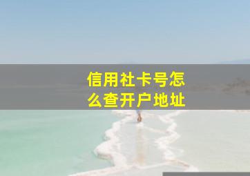 信用社卡号怎么查开户地址