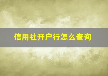 信用社开户行怎么查询