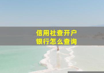 信用社查开户银行怎么查询