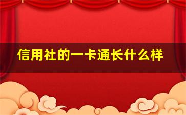 信用社的一卡通长什么样