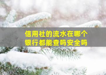 信用社的流水在哪个银行都能查吗安全吗