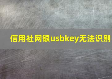 信用社网银usbkey无法识别