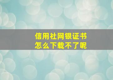 信用社网银证书怎么下载不了呢