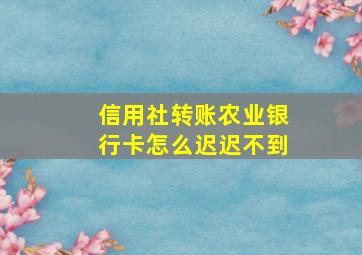 信用社转账农业银行卡怎么迟迟不到