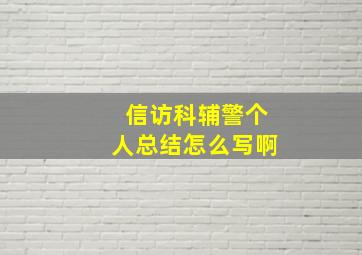 信访科辅警个人总结怎么写啊