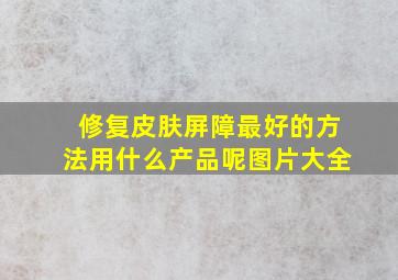 修复皮肤屏障最好的方法用什么产品呢图片大全