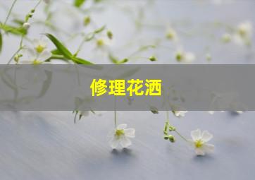 修理花洒