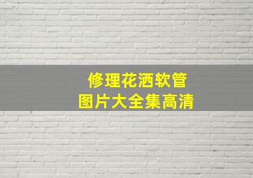 修理花洒软管图片大全集高清