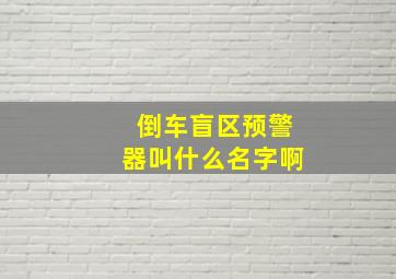 倒车盲区预警器叫什么名字啊