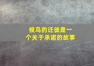 候鸟的迁徙是一个关于承诺的故事