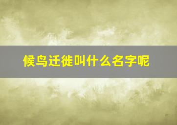 候鸟迁徙叫什么名字呢