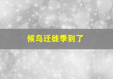 候鸟迁徙季到了