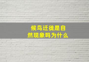 候鸟迁徙是自然现象吗为什么