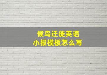 候鸟迁徙英语小报模板怎么写