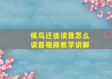 候鸟迁徙读音怎么读音视频教学讲解