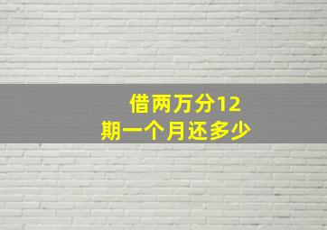 借两万分12期一个月还多少