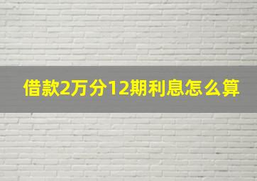 借款2万分12期利息怎么算