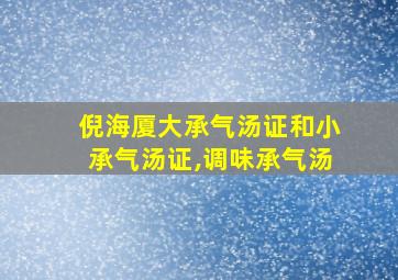 倪海厦大承气汤证和小承气汤证,调味承气汤