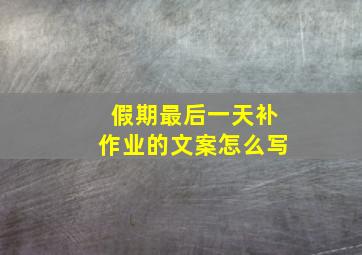 假期最后一天补作业的文案怎么写