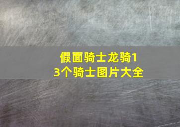 假面骑士龙骑13个骑士图片大全