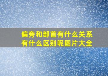 偏旁和部首有什么关系有什么区别呢图片大全