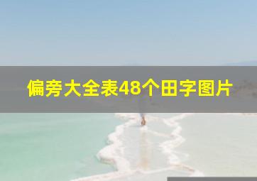 偏旁大全表48个田字图片