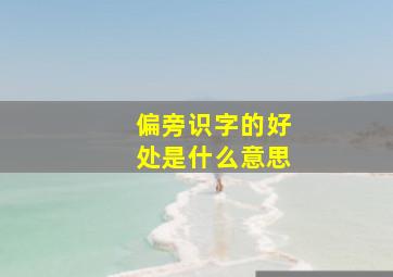 偏旁识字的好处是什么意思