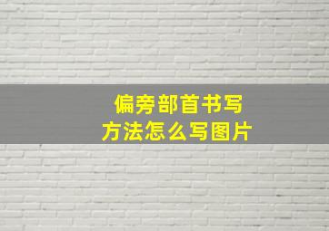 偏旁部首书写方法怎么写图片