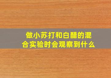 做小苏打和白醋的混合实验时会观察到什么