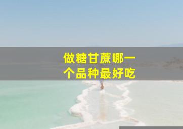 做糖甘蔗哪一个品种最好吃