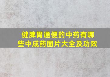 健脾胃通便的中药有哪些中成药图片大全及功效