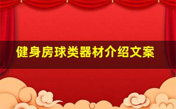 健身房球类器材介绍文案