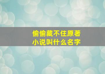 偷偷藏不住原著小说叫什么名字