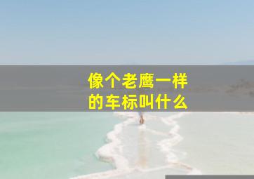 像个老鹰一样的车标叫什么