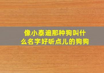 像小泰迪那种狗叫什么名字好听点儿的狗狗