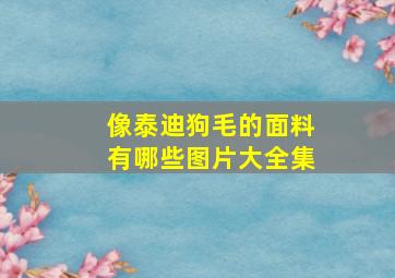 像泰迪狗毛的面料有哪些图片大全集