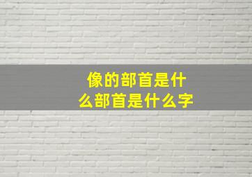 像的部首是什么部首是什么字