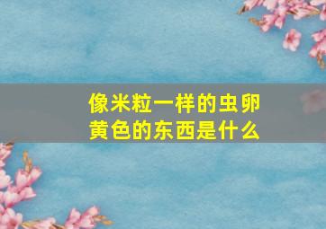 像米粒一样的虫卵黄色的东西是什么