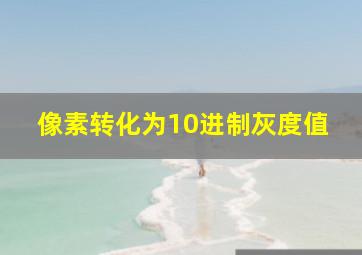 像素转化为10进制灰度值