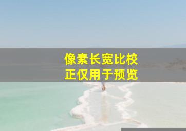 像素长宽比校正仅用于预览