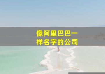 像阿里巴巴一样名字的公司