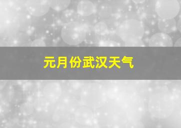 元月份武汉天气