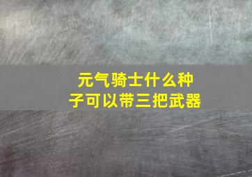 元气骑士什么种子可以带三把武器