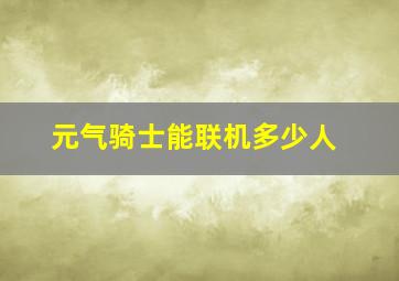 元气骑士能联机多少人