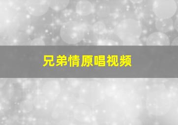 兄弟情原唱视频