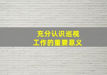 充分认识巡视工作的重要意义