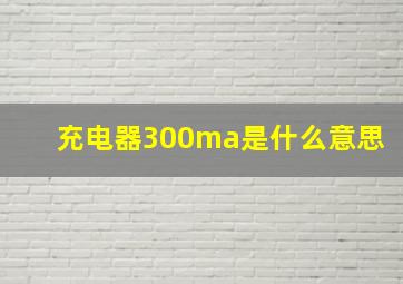 充电器300ma是什么意思