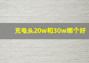 充电头20w和30w哪个好